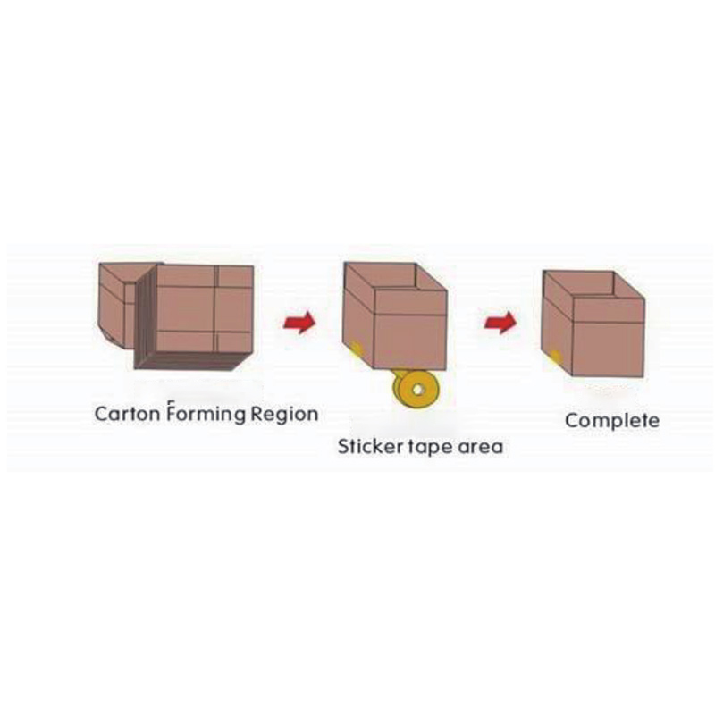 Types of case packing machines